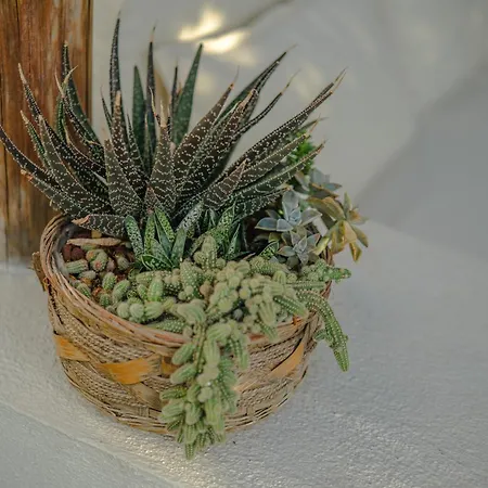 Hotel Melekaki Alaçatı